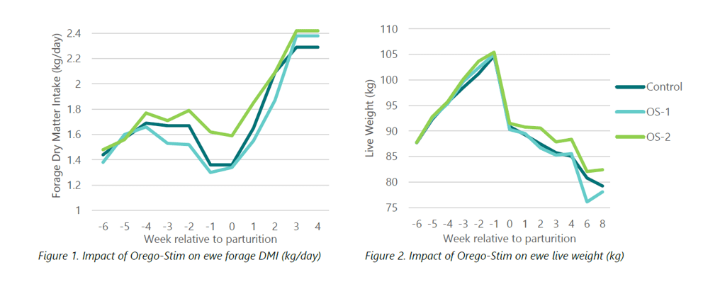 Orego-Stim on Ewe Performance